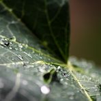 drops_3