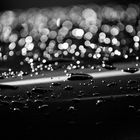 drops_of_rain_and_light