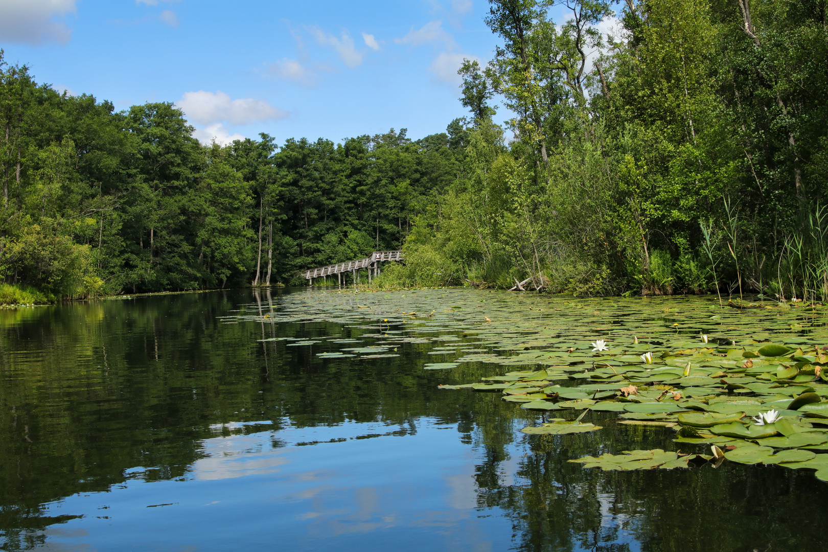 Drosedowbach-am-Gobenowsee