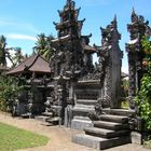 "drüber g'stolpert "- Streifzüge auf Bali