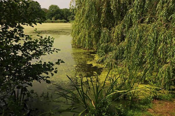 See, Teich & Tümpel Bilder & Fotos