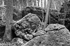 Druidenhain