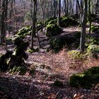 Druidenhain / Wohlmannsgesees - Fränkische Schweiz