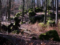 Druidenhain / Wohlmannsgesees - Fränkische Schweiz