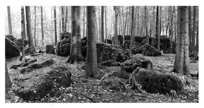 Druidenhain.Franconia.Fränkische Schweiz.