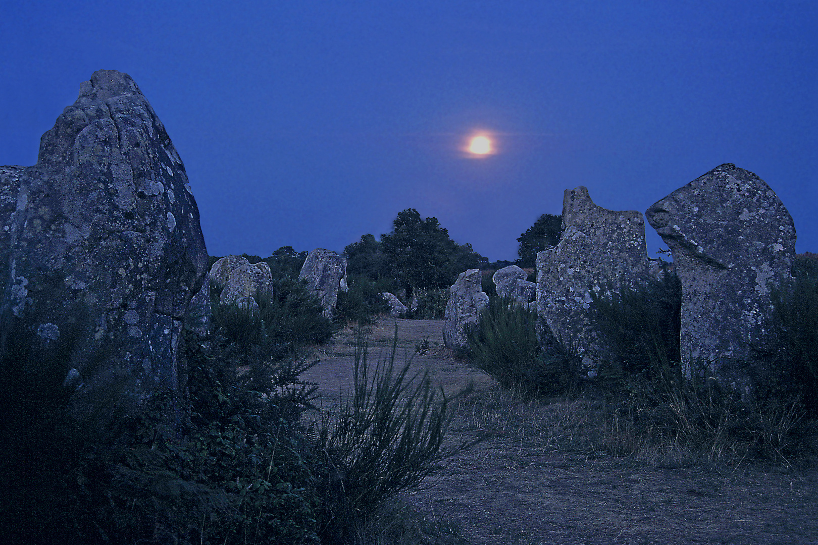 Druidennacht