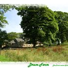 DRUM FARM in Carronvalley