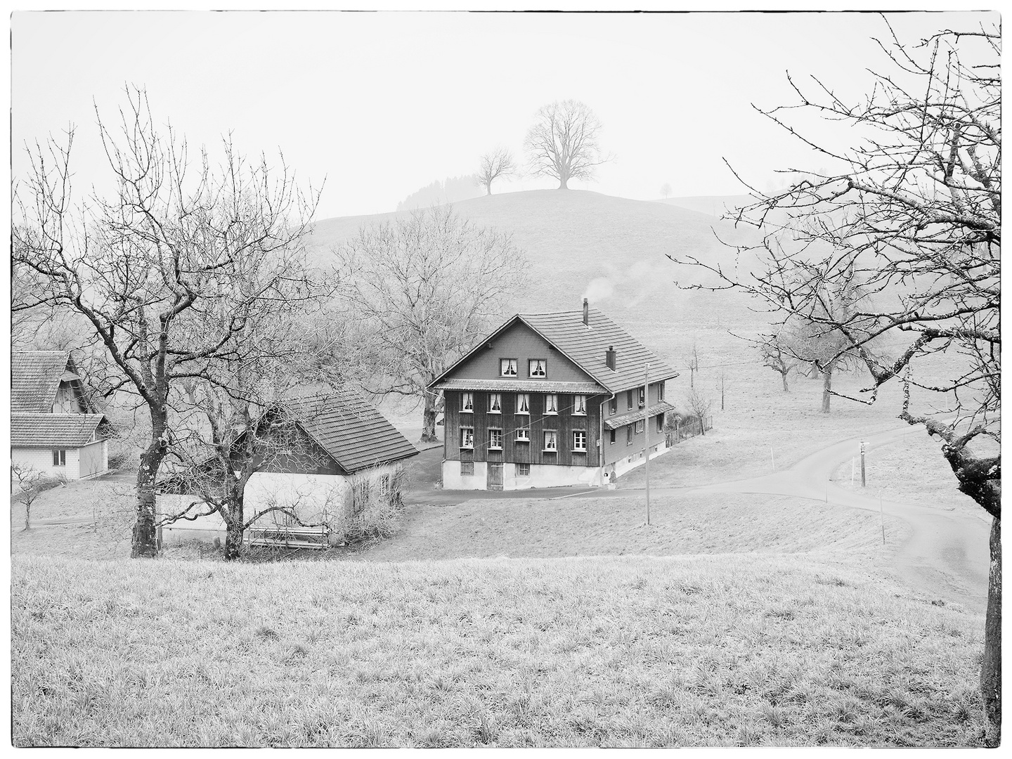 Drumlin hinter Bauernhof