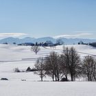 Drumlin und Nagelfluh