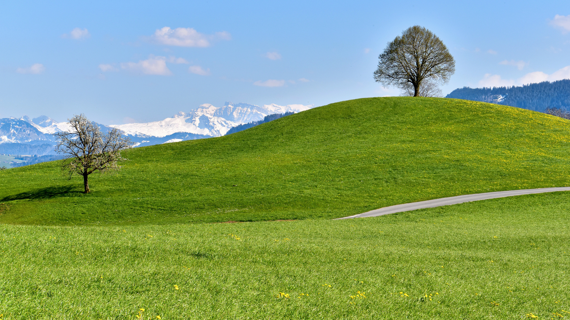 Drumlinlandschaft ist ungerade