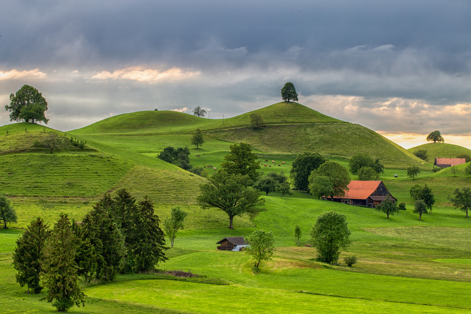 Drumlins 1 Foto & Bild natur, landschaft Bilder auf