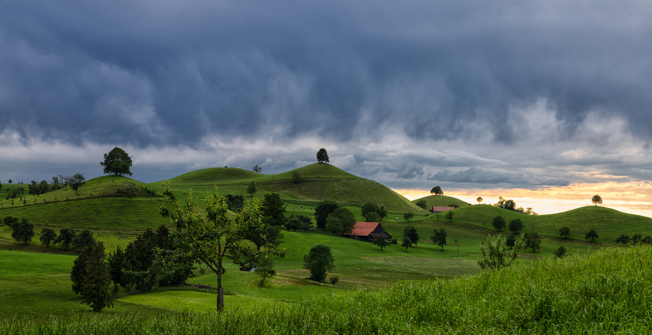 Drumlins 2 Foto & Bild natur, landschaft Bilder auf
