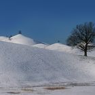 Drumlins Hirzel