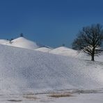 Drumlins Hirzel