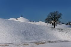 Drumlins Hirzel