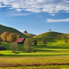 Drumlins im Herbst