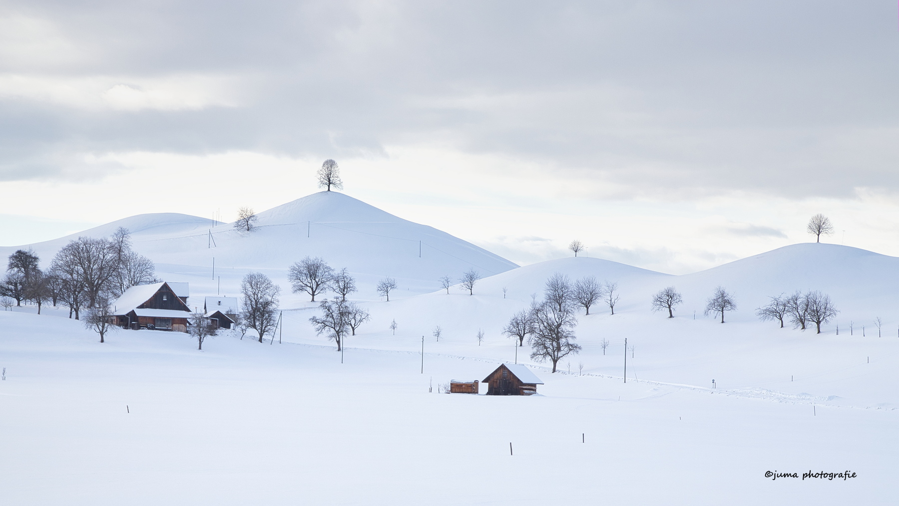 Drumlins-Landschaft 