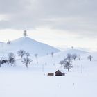 Drumlins-Landschaft 