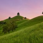 Drumlins nach Sonnenuntergang