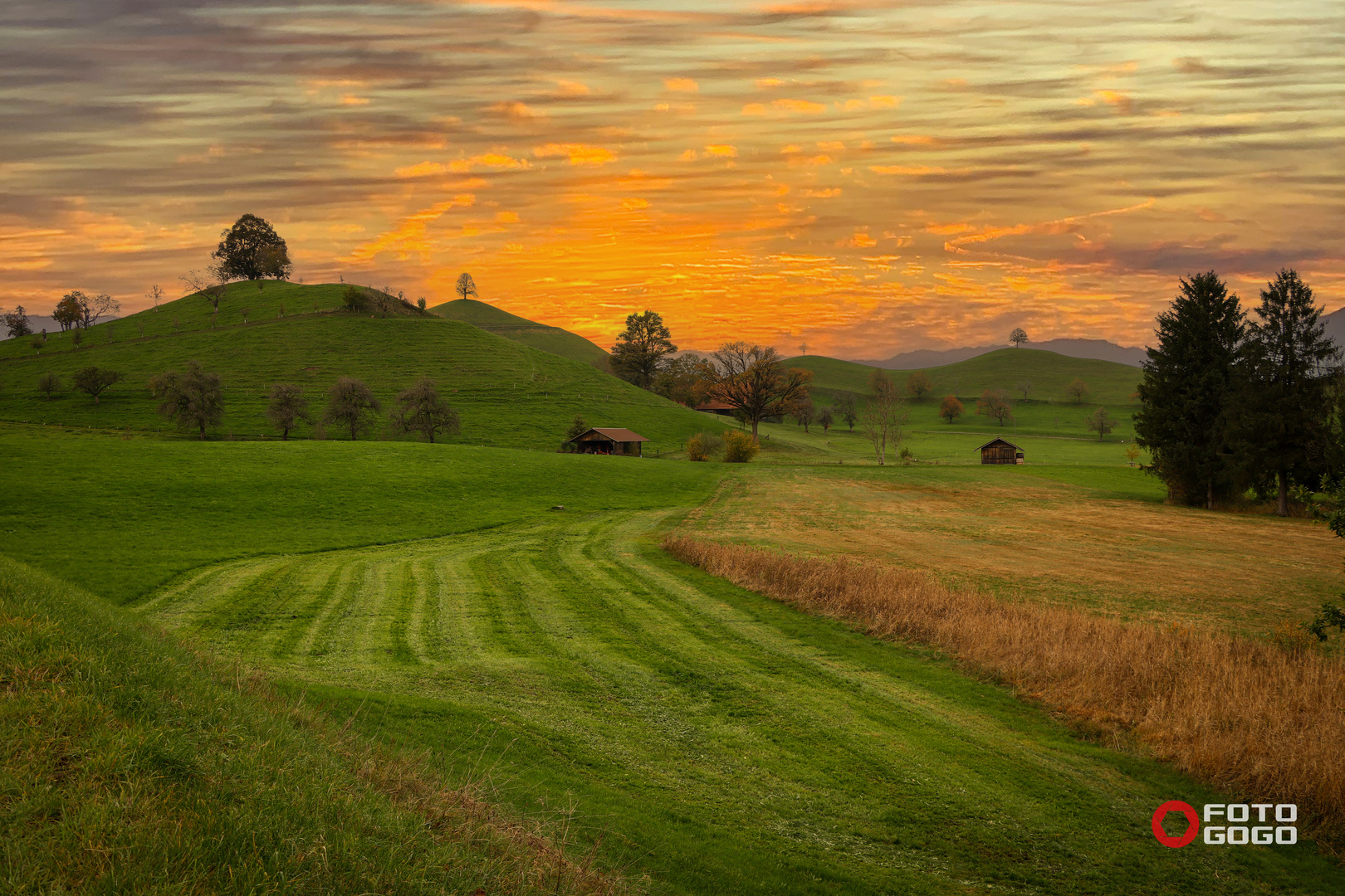 Drumlins-Neuheim_8324