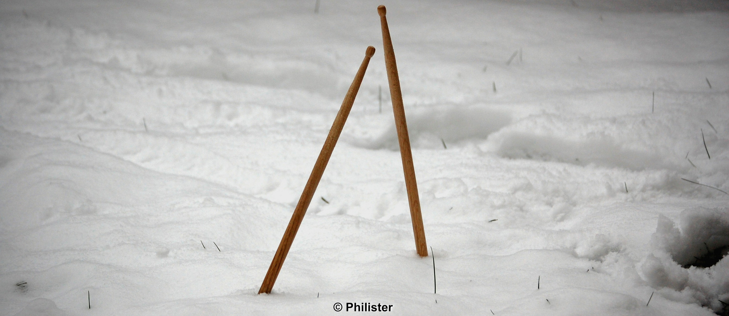 drumsticks in the snow