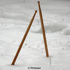 drumsticks in the snow