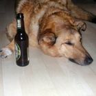 Drunken Dog