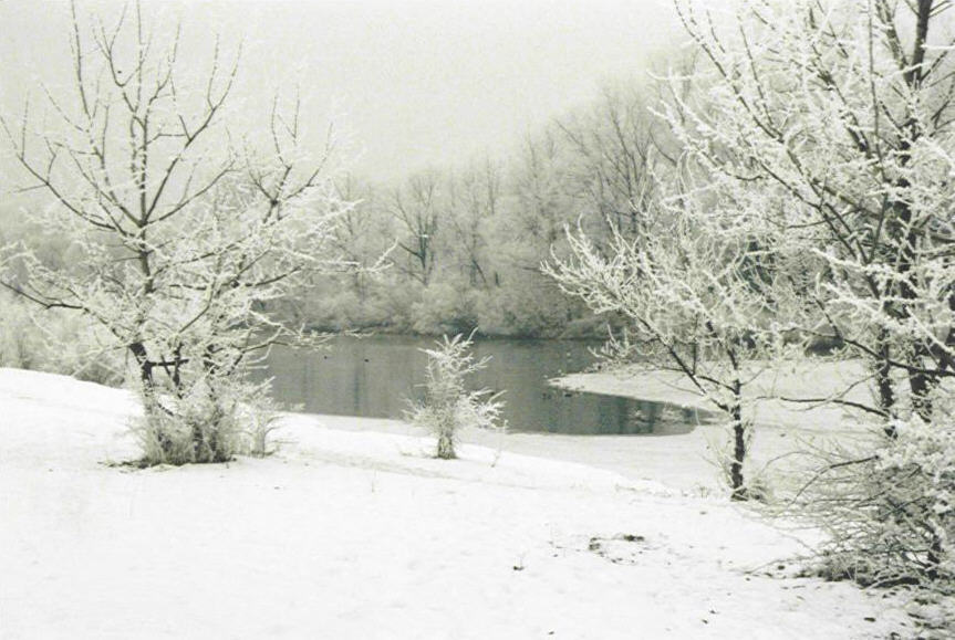 drunt in der Lobau