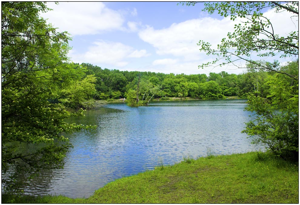 Drunt in der Lobau