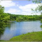 Drunt in der Lobau