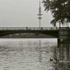 drunter und drüber - bridge climbing