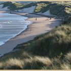 Druridge bay from the north 4