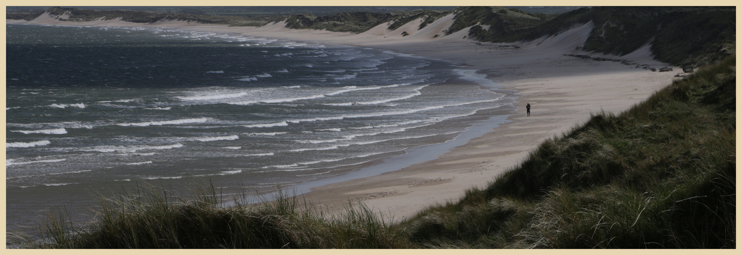 Druridge bay in may