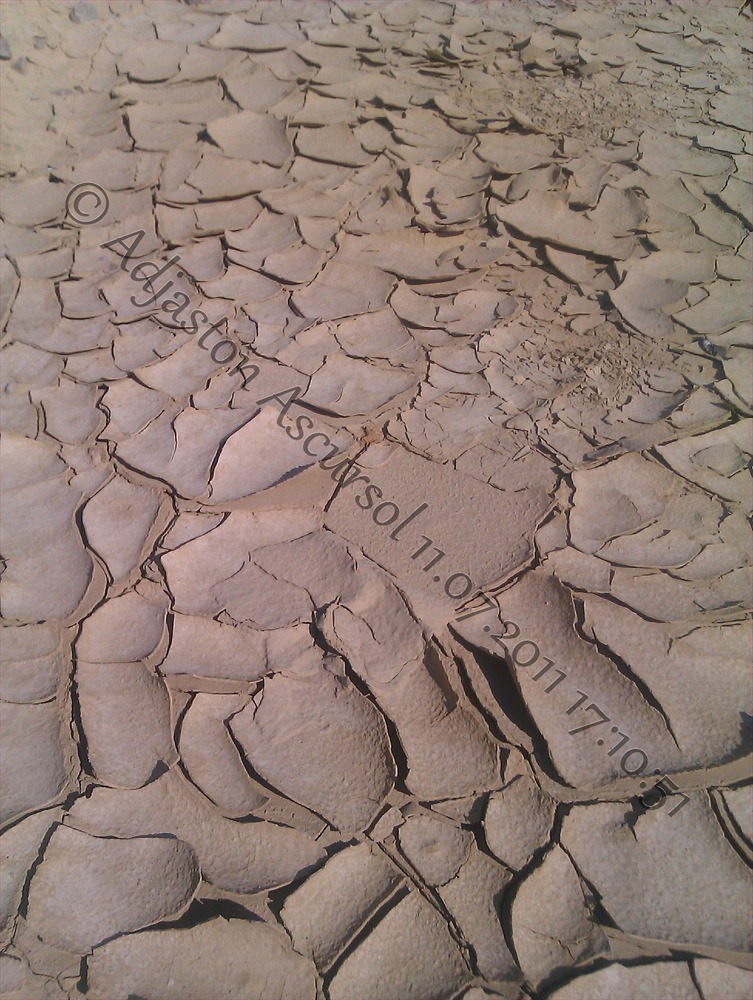 dry and dying earth