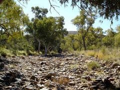 Dry creekbed, 1