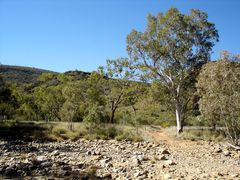 Dry creekbed, 2