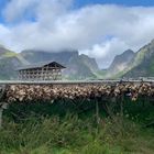 Dry Fish Lofoten