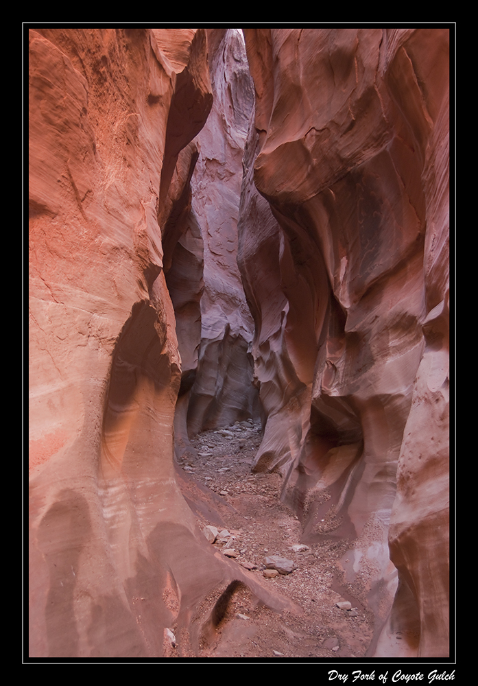 Dry Fork of Coyote Gulch