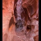 Dry Fork of Coyote Gulch