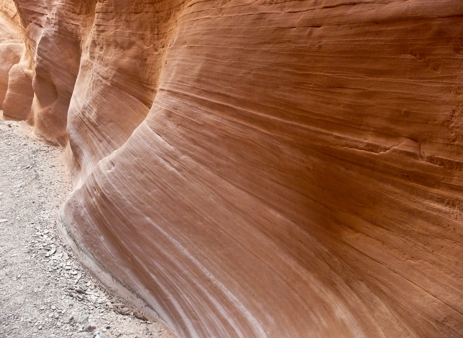 Dry Fork of Coyote Gulch - Sandstone Art 2