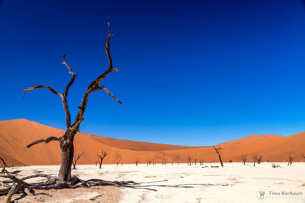 Dry Lake