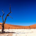 Dry Lake