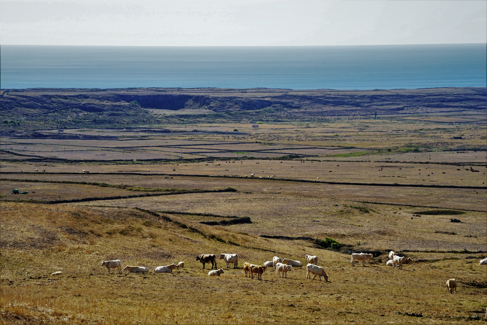 Dry landscape