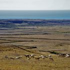 Dry landscape