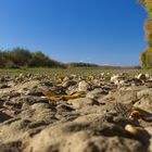 Dry river bed