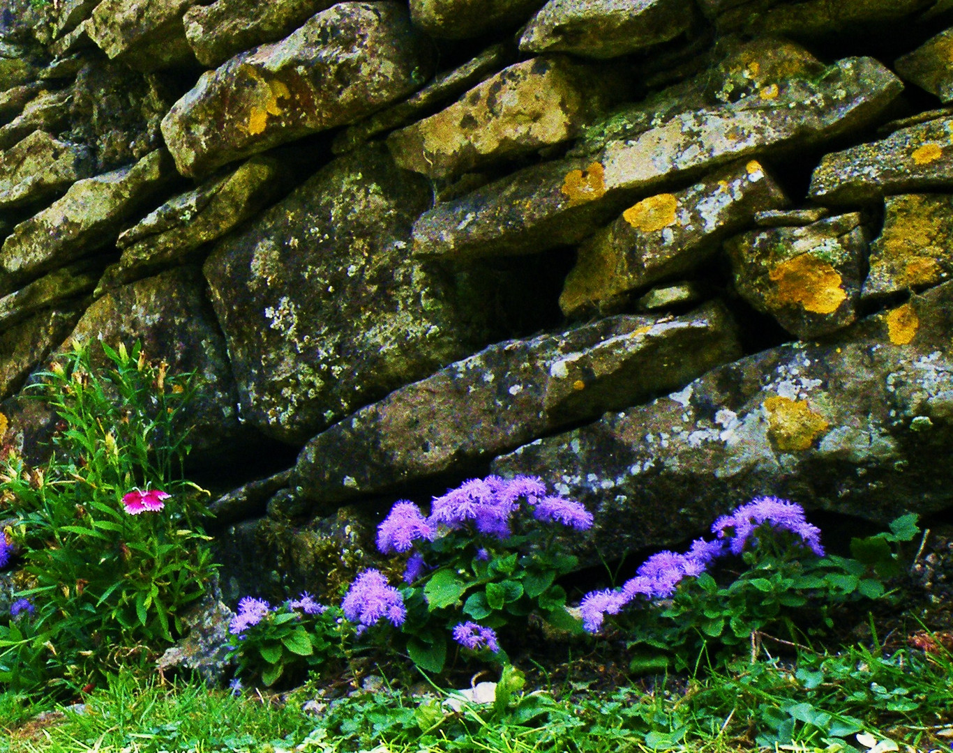 Dry stone wall