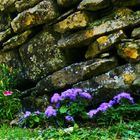 Dry stone wall