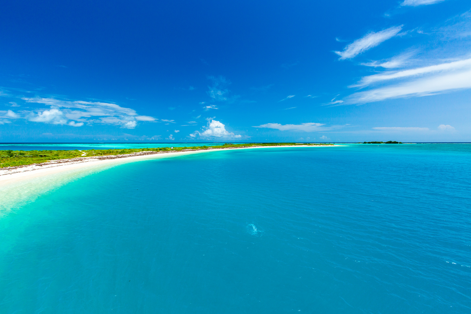 Dry Tortugas 5