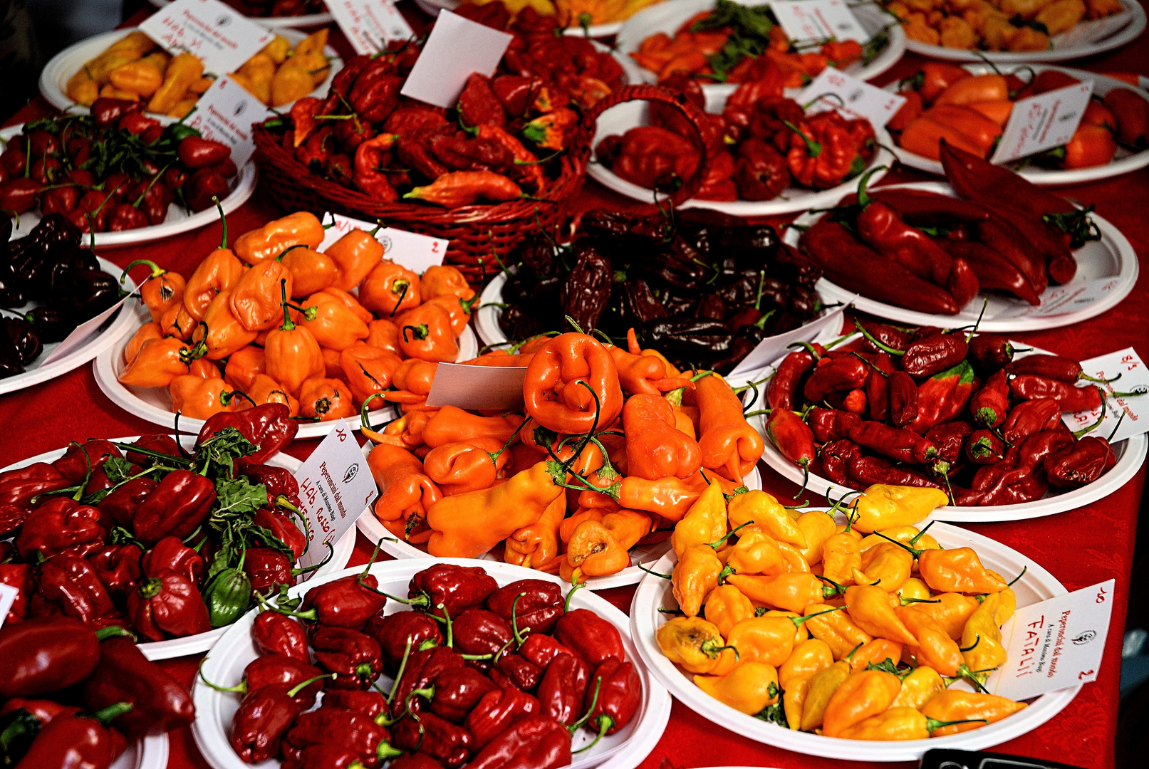 _DSC0013  Festa del Peperoncino Rosso