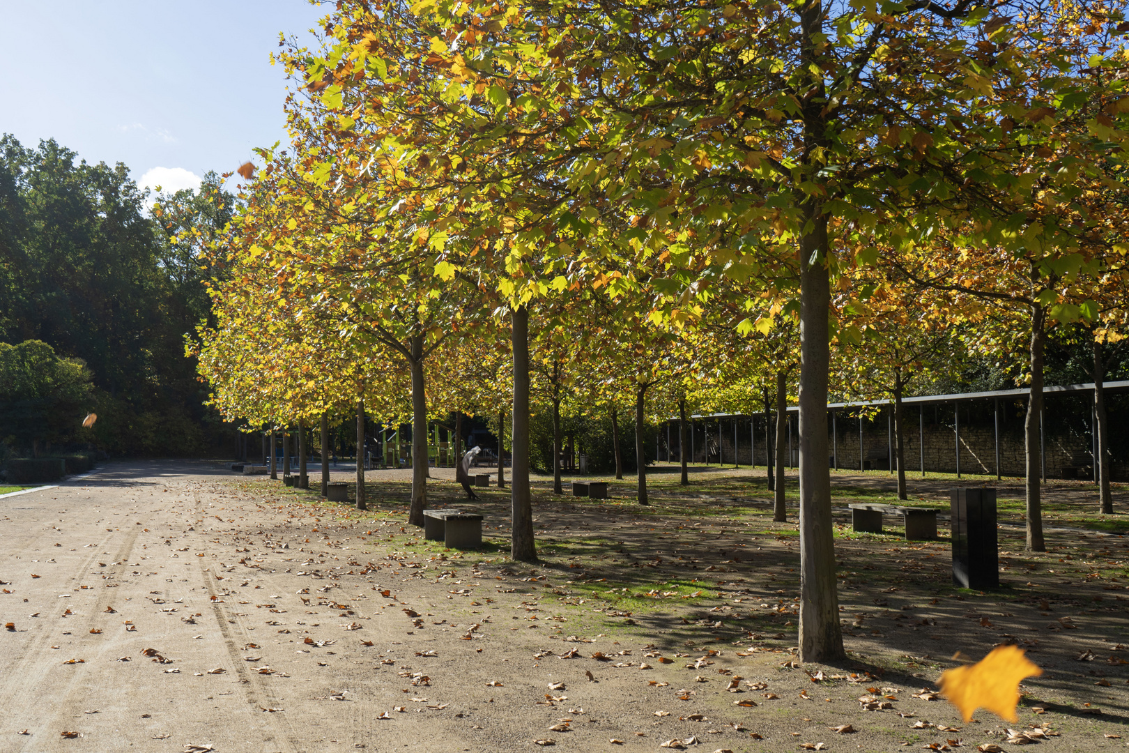 DSC00511-2 Stadtgarten